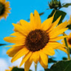 Meet your Posher, Audrina